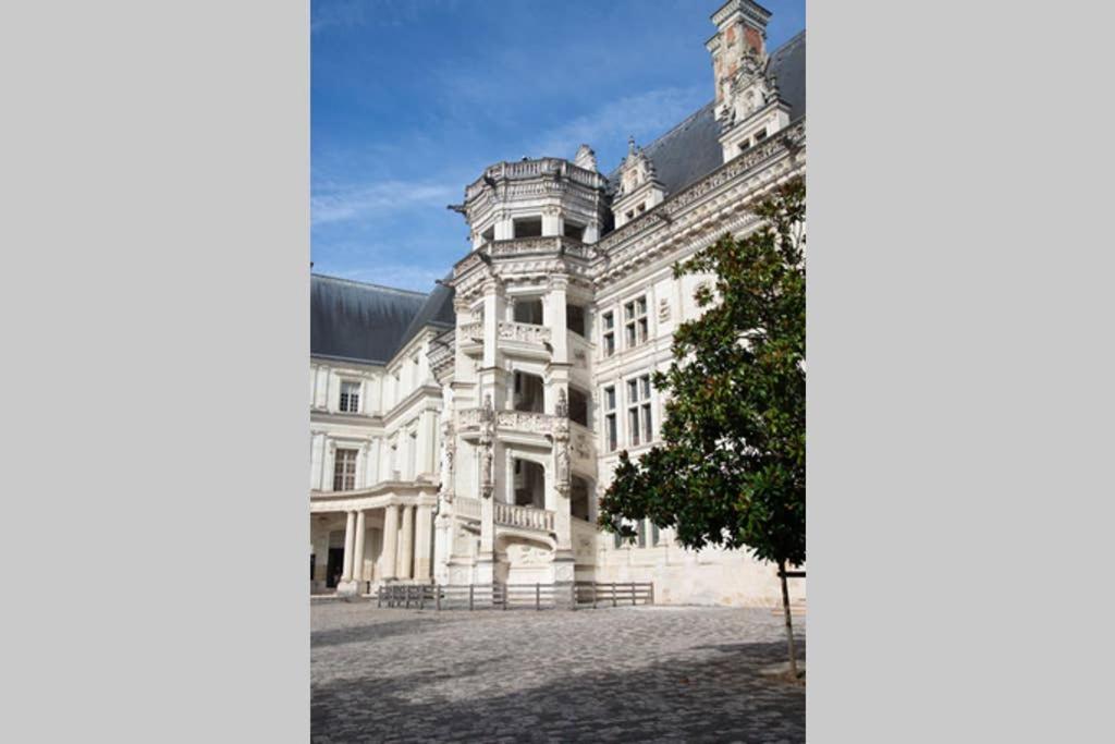 Appartement Quartier Cathedrale Blois Dış mekan fotoğraf